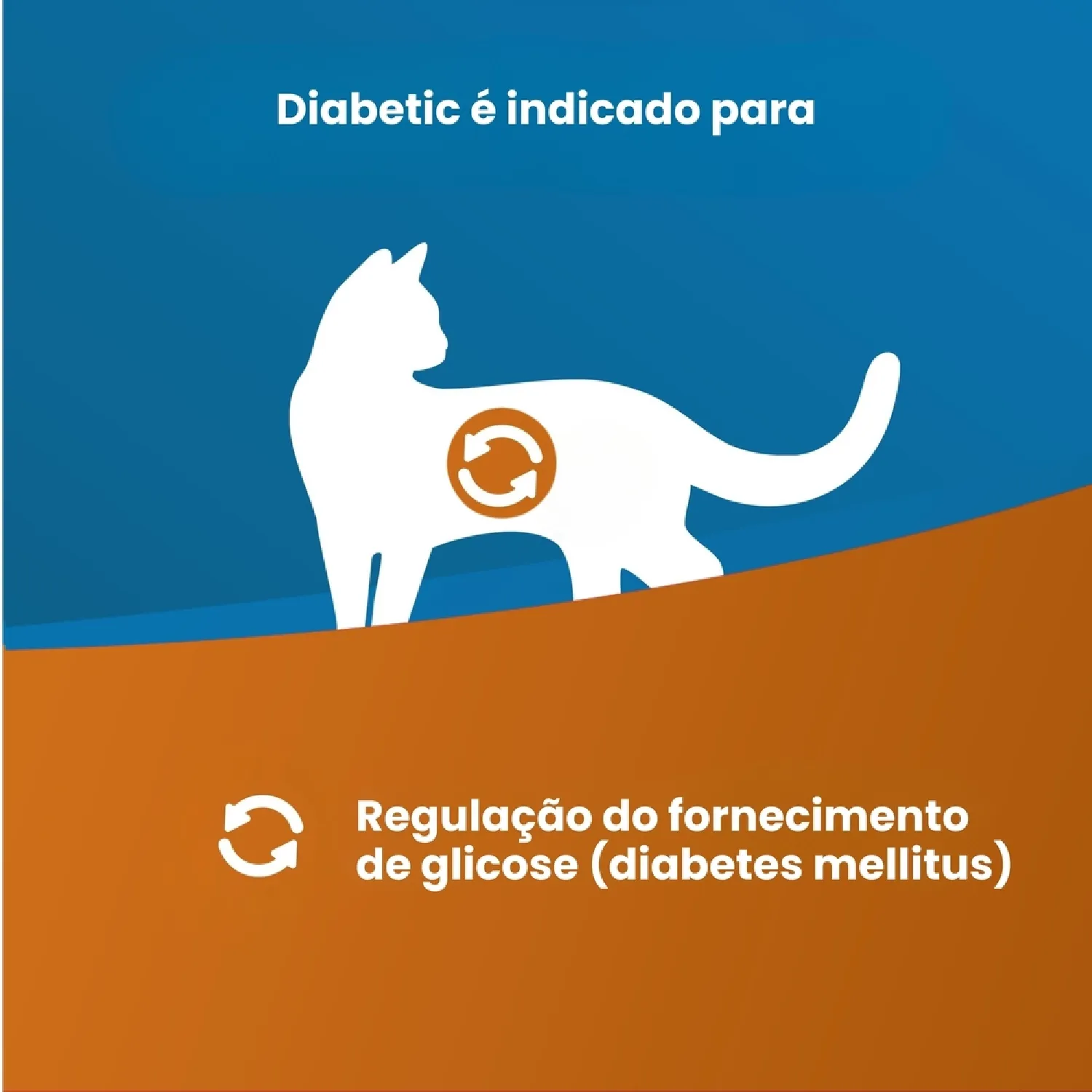 Racao Umida Vet Life Diabetic para Gatos Adultos 2